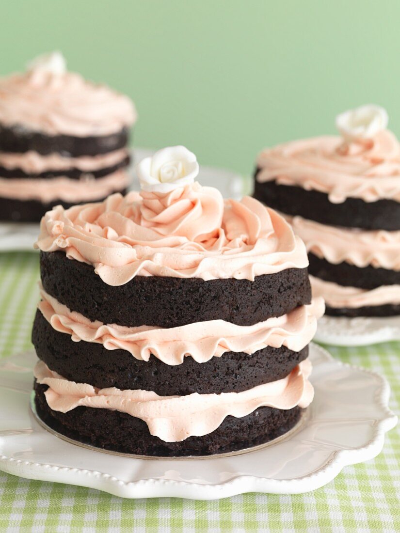 Chocolate cakes with rose creme