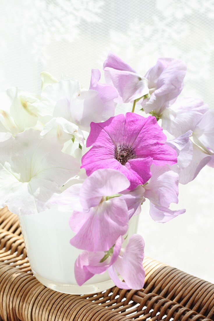 weiße und pinkfarbene Wicken im Glas