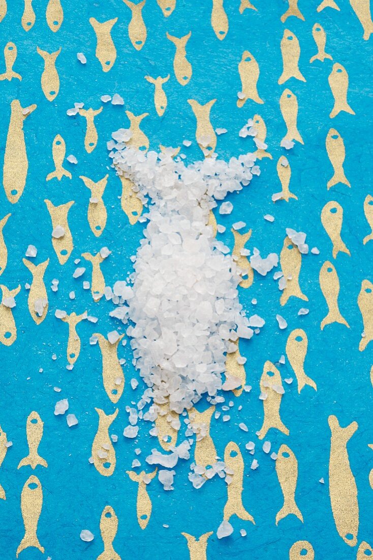 A fish shape made from seasalt