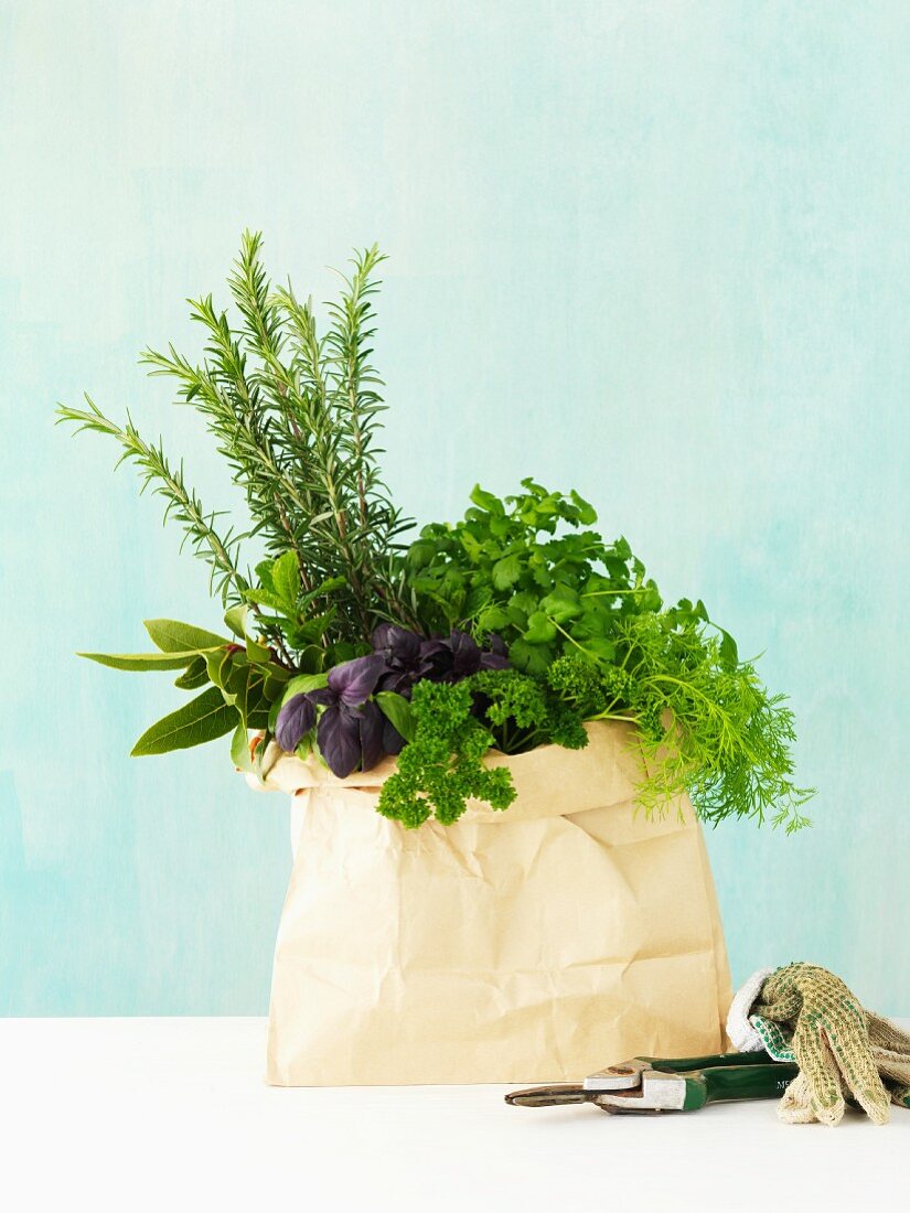 Fresh herbs in a paper bag