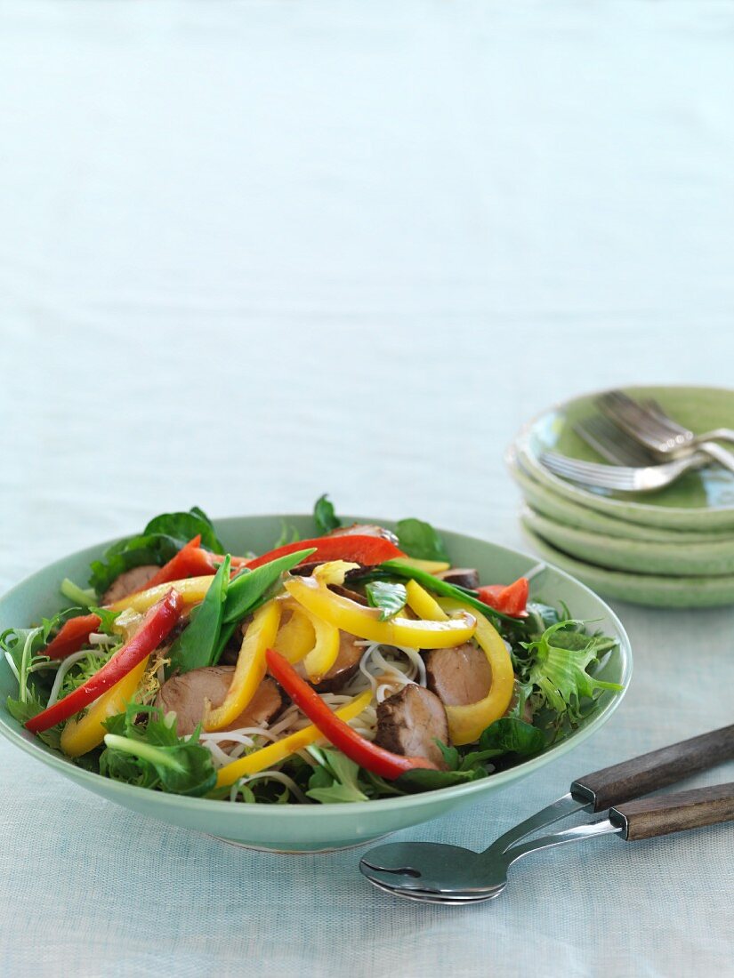 Gemischter Blattsalat mit Schweinefleisch und Paprika