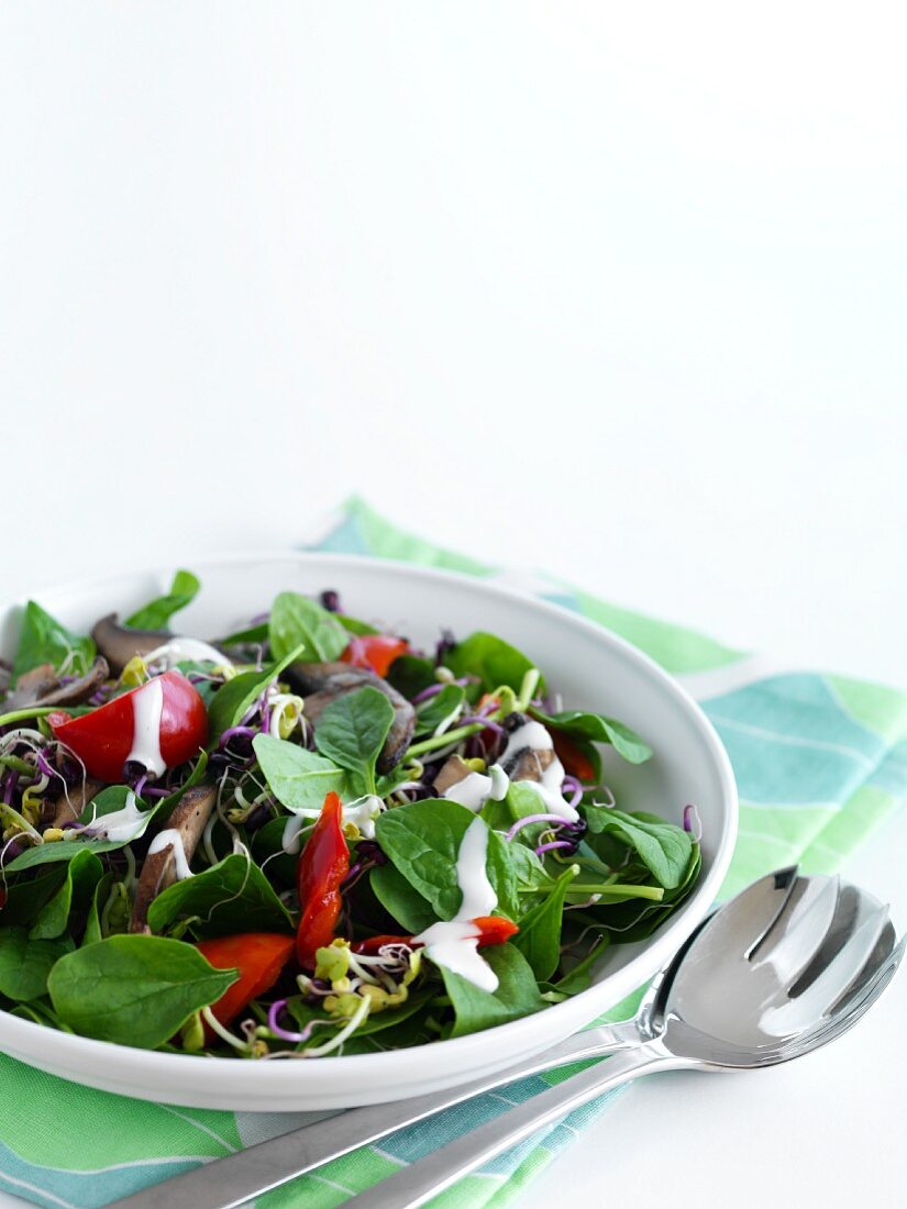 Spinach salad with bean sprouts