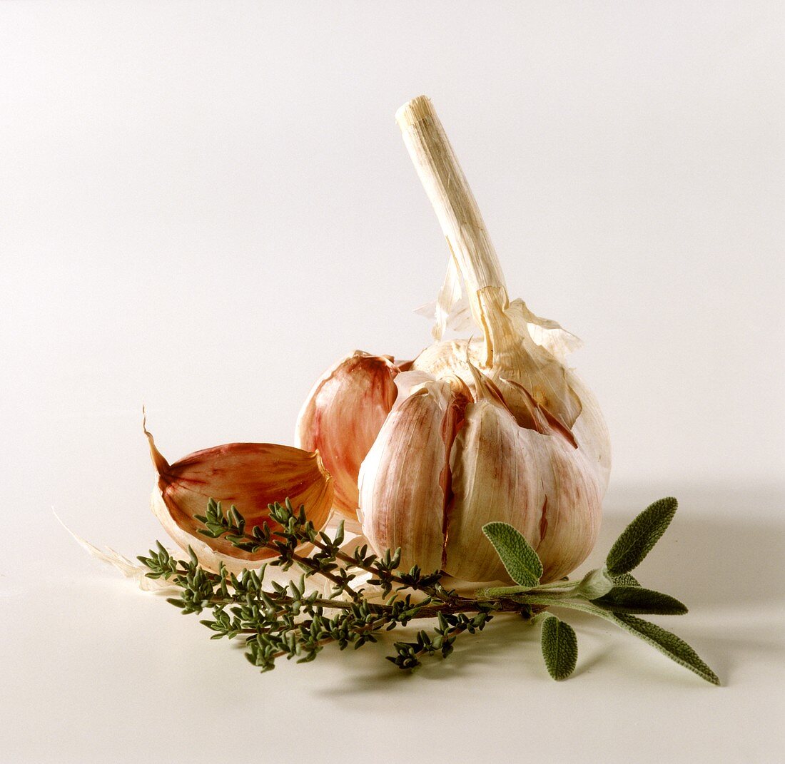 Garlic Bulb with Fresh Herbs