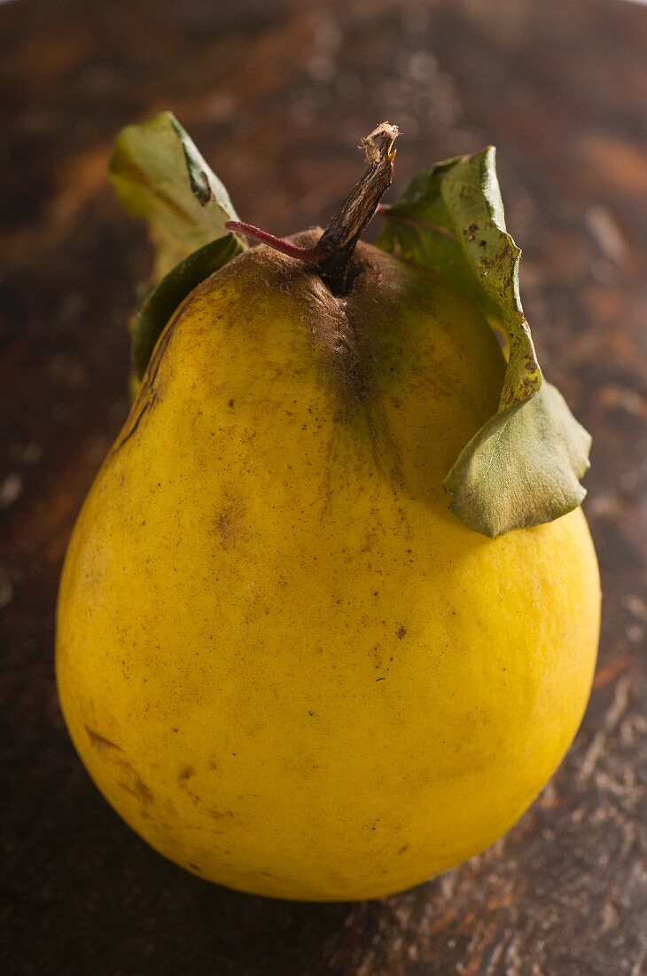 A quince with leaf