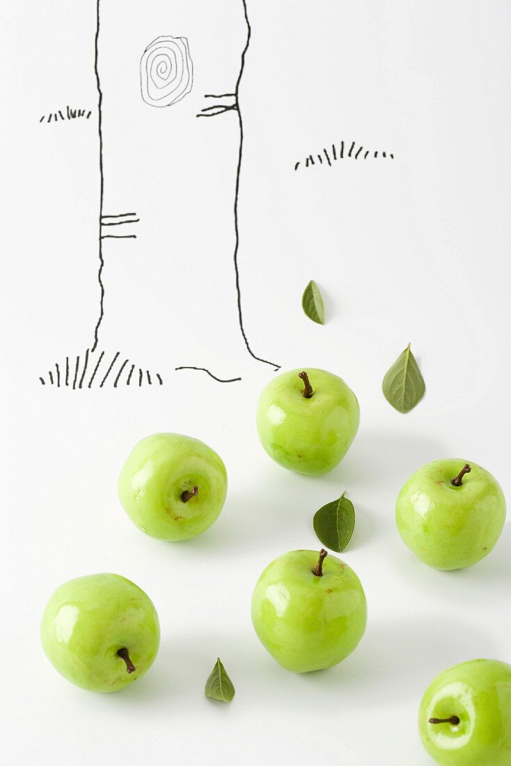 Grüne Äpfel vor einem gezeichneten Baumstamm
