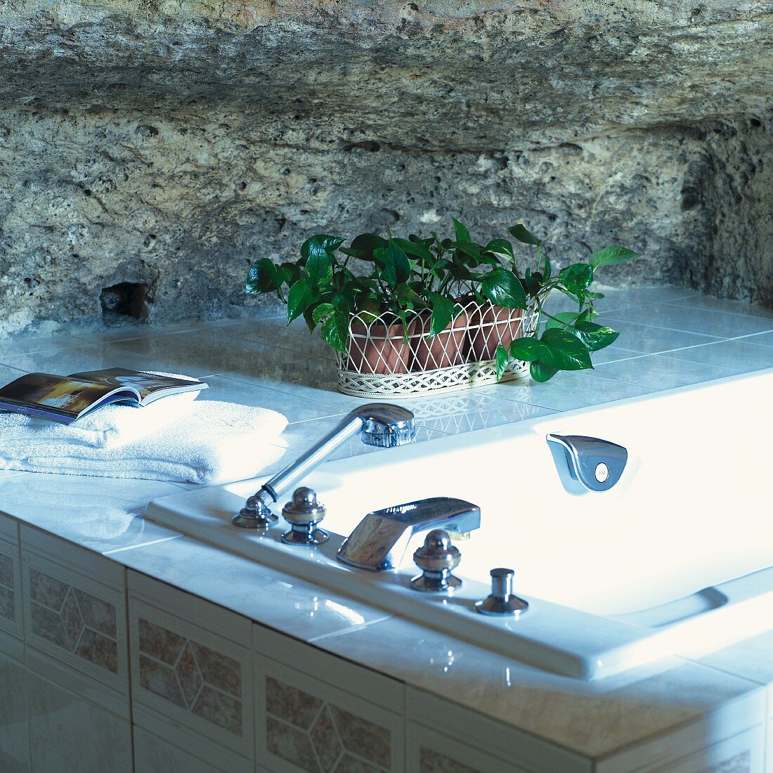 Potted plants on tiled surface next to bathtub in front of rock wall