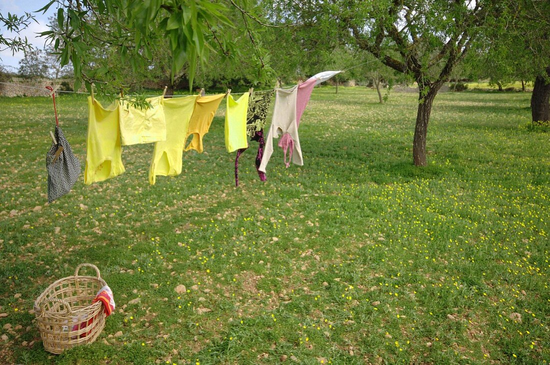 Wäsche hängt auf einer Wäscheleine im Garten
