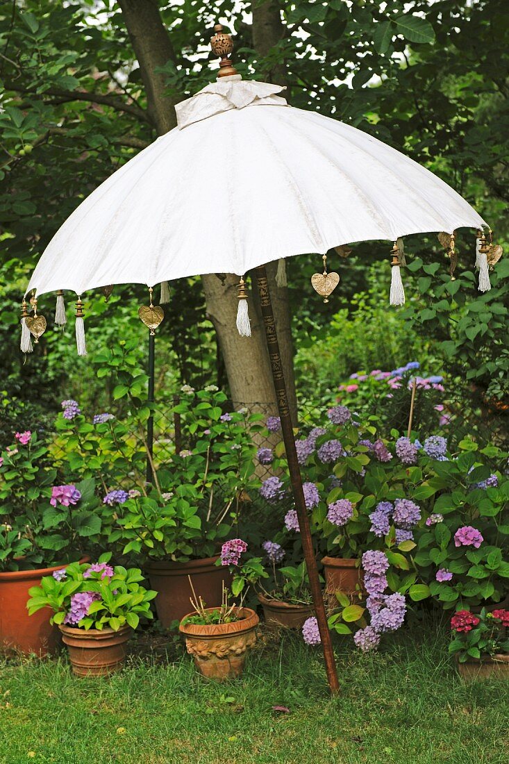 Sunshade and flowerpots in garden