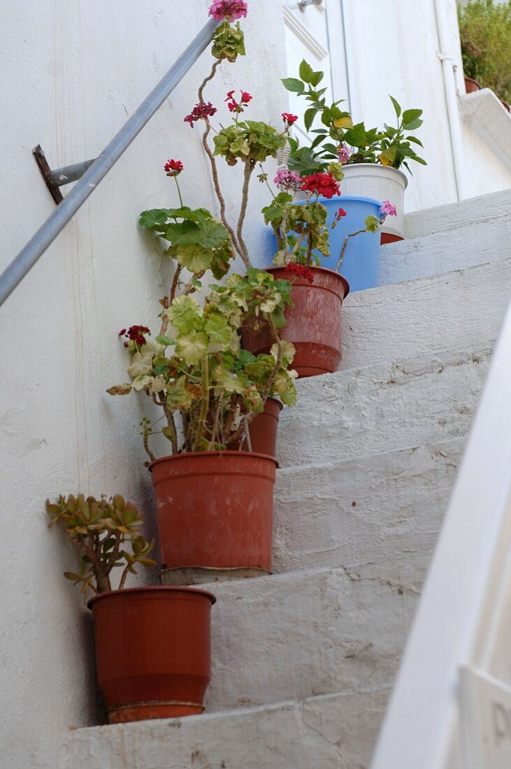 Flower pots standing on stairs