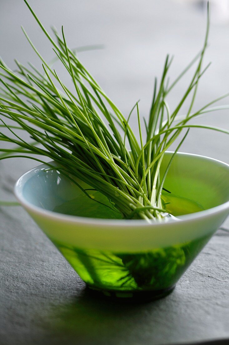 Fresh chives in a bowl of water