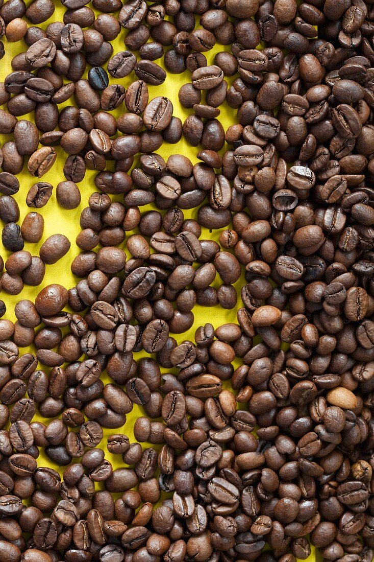 Kaffeebohnen auf gelbem Untergrund