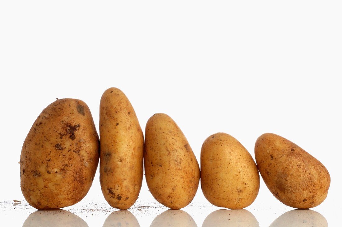 Fünf Kartoffeln in einer Reihe