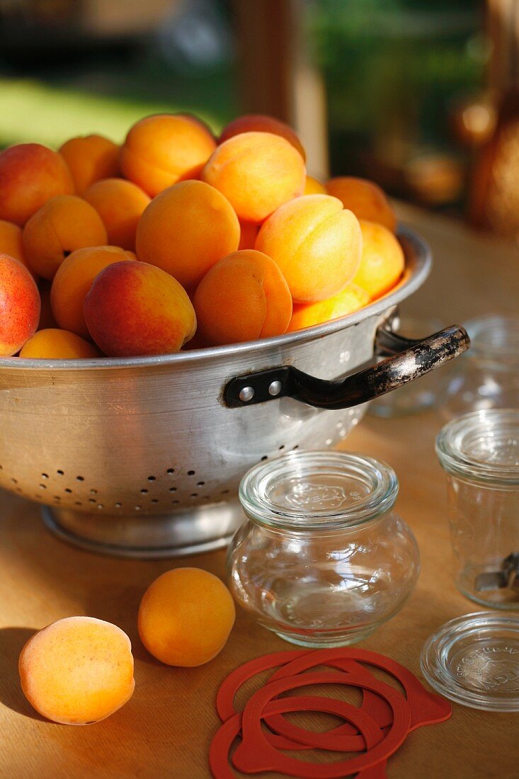 Apricots in a colander with jars