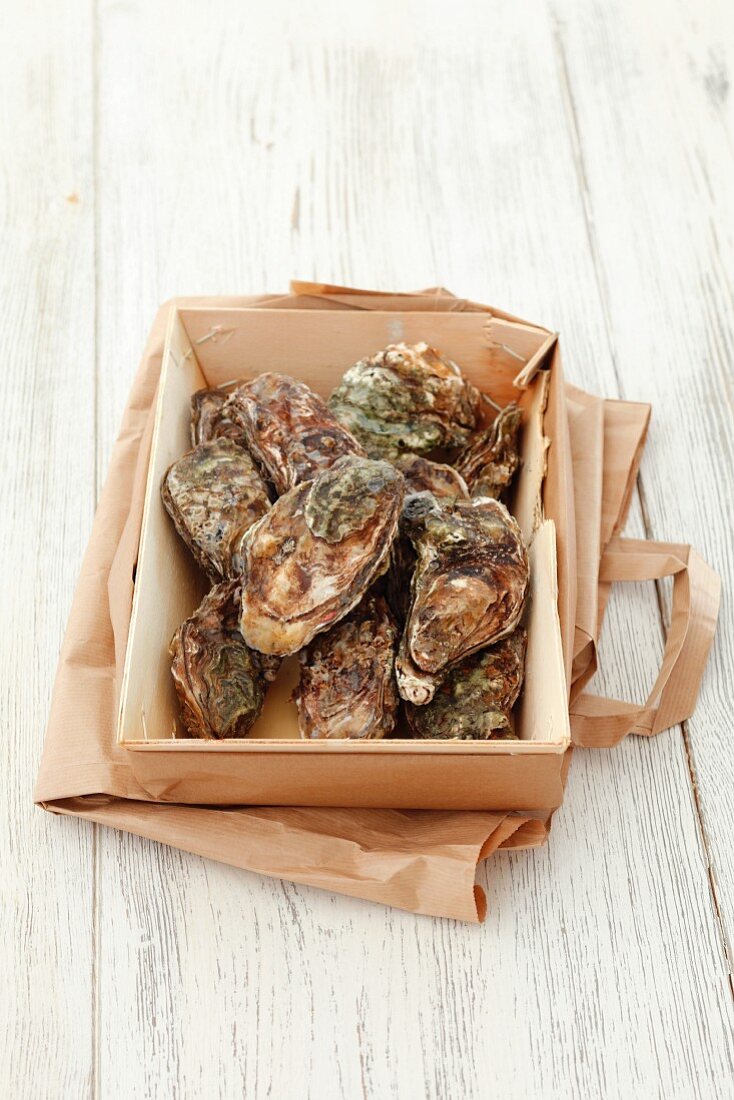 Fresh oysters in a wooden basket