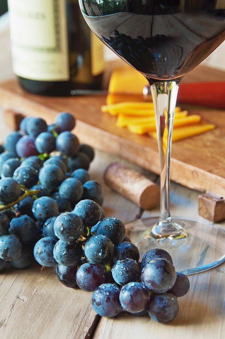 Fresh Concord Grapes with a Glass of Wine and Sliced Cheddar Cheese
