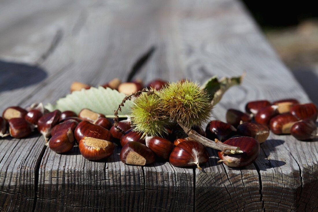 Frische Esskastanien auf Holztisch