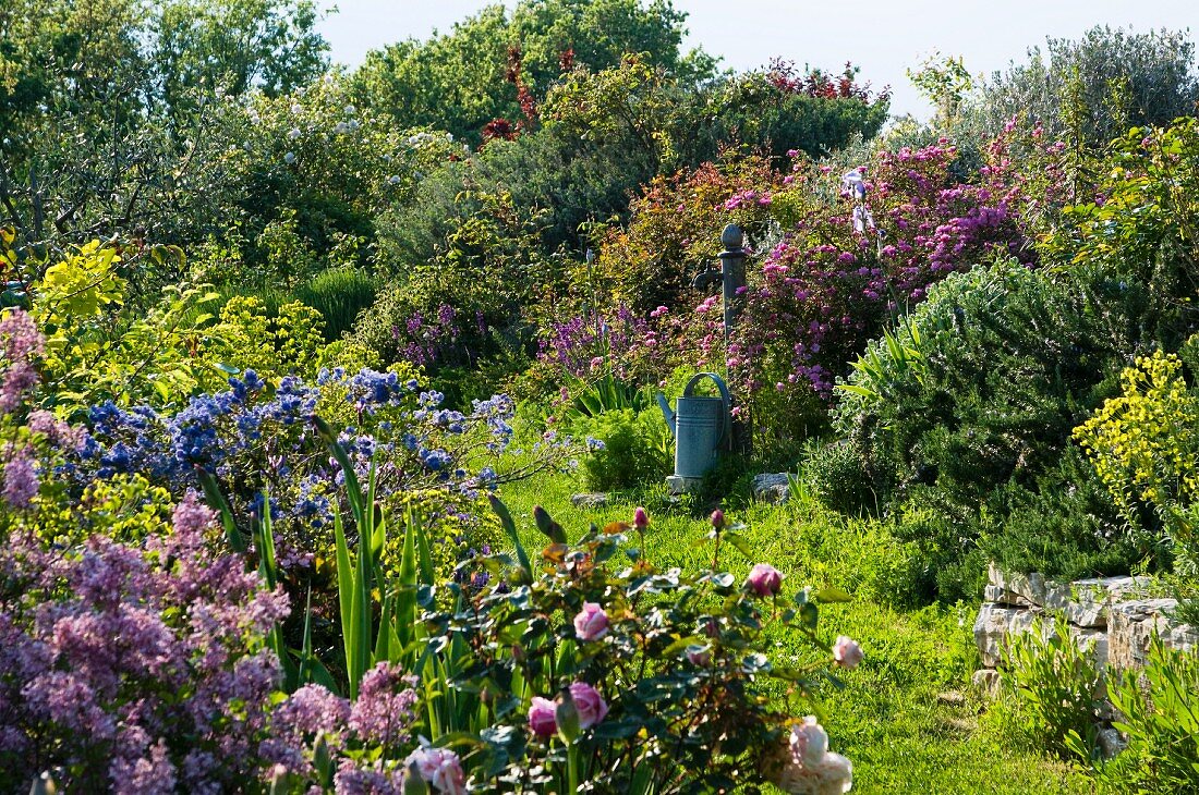 Blühender Garten in mediterraner Umgebung