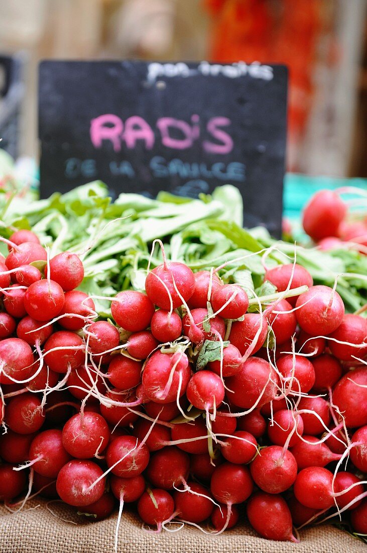 Radieschen auf dem Markt