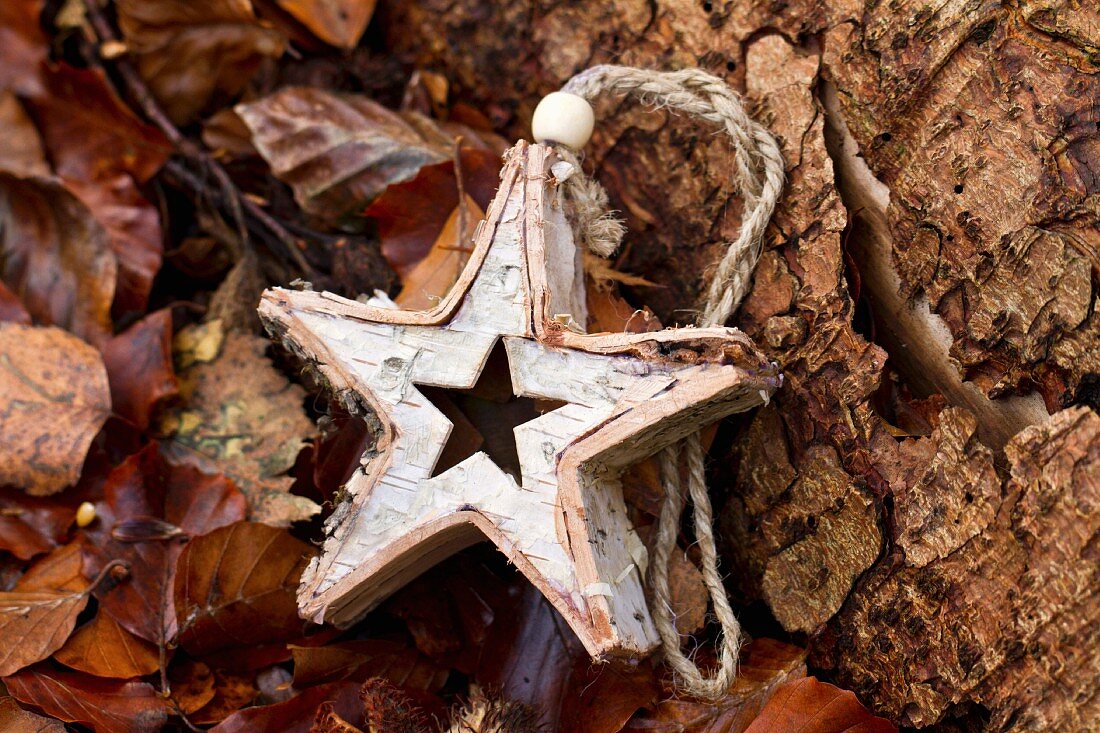 Selbstgebauter Weihnachtsstern neben Baumstamm