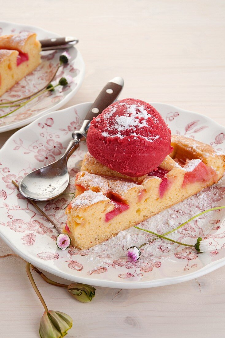 Rhabarberkuchen mit Erdbeersorbet