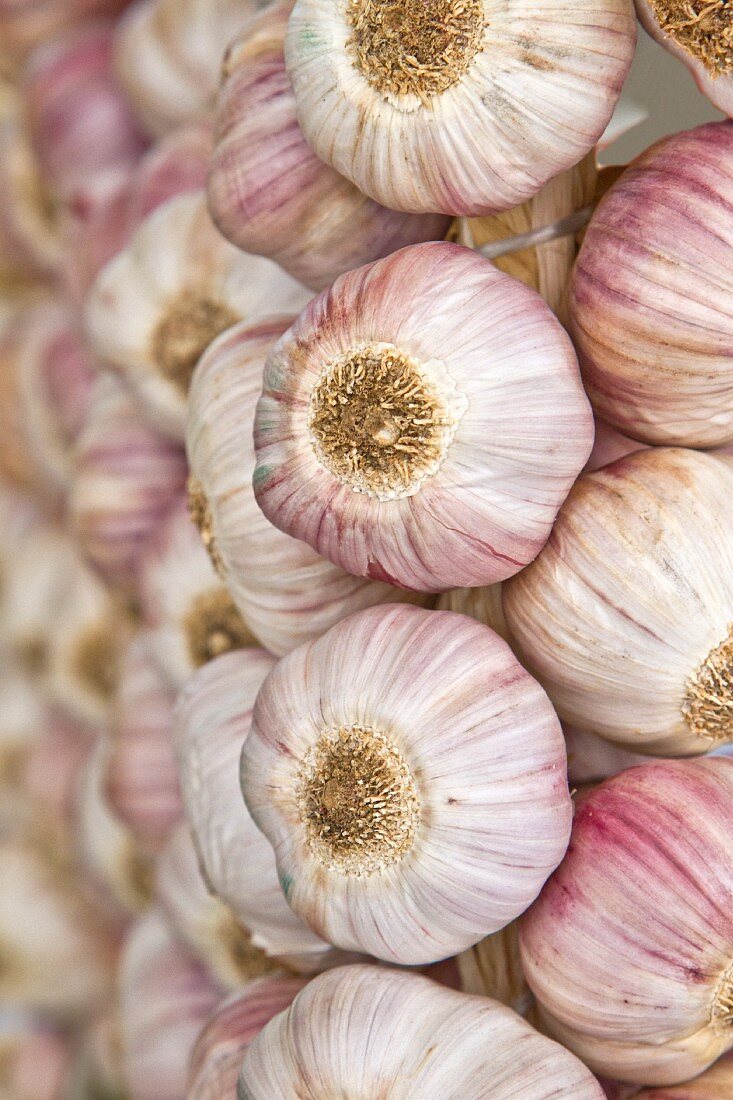 A garlic plait on a market stall (Funchal, Maderia, Portugal)