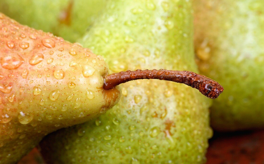 Freshly washed pears (close-up)