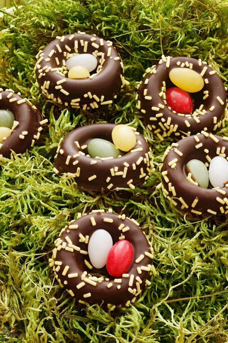 Chocolate nests in moss