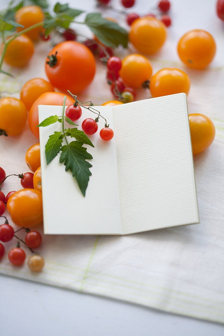 Gelbe Tomaten und Johannisbeertomaten (Lycopersicon pimpinellifolium) und Notizbuch zum Beschriften