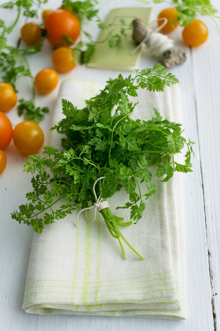 Kerbel und gelbe Cocktailtomaten