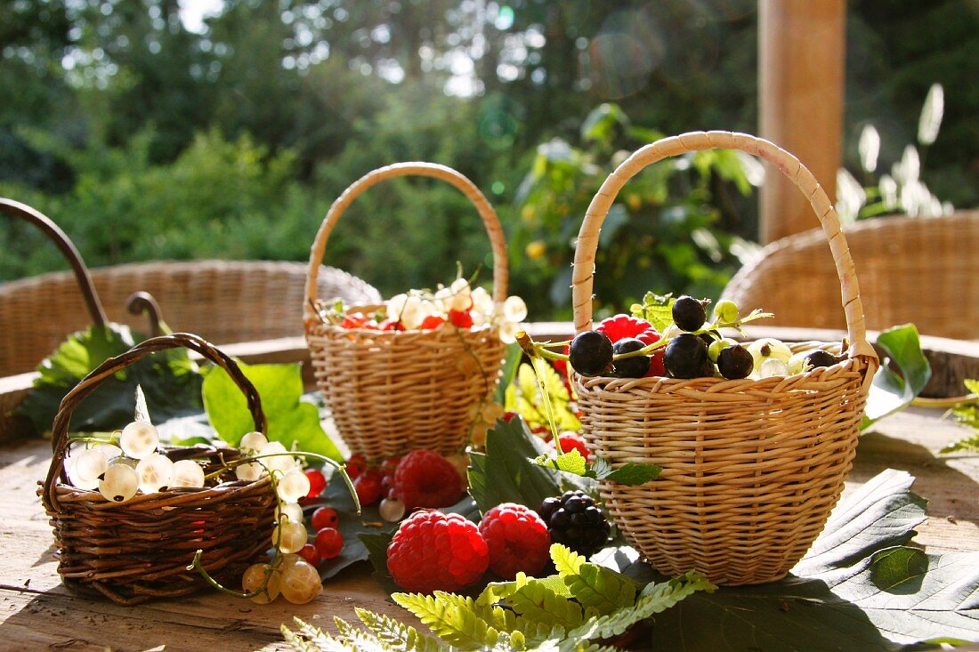 Fresh berries on a garden table