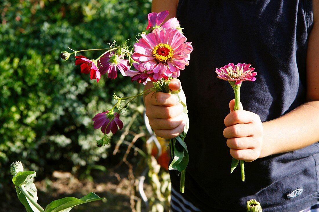 Kleiner Junge hält Blumen aus dem Garten