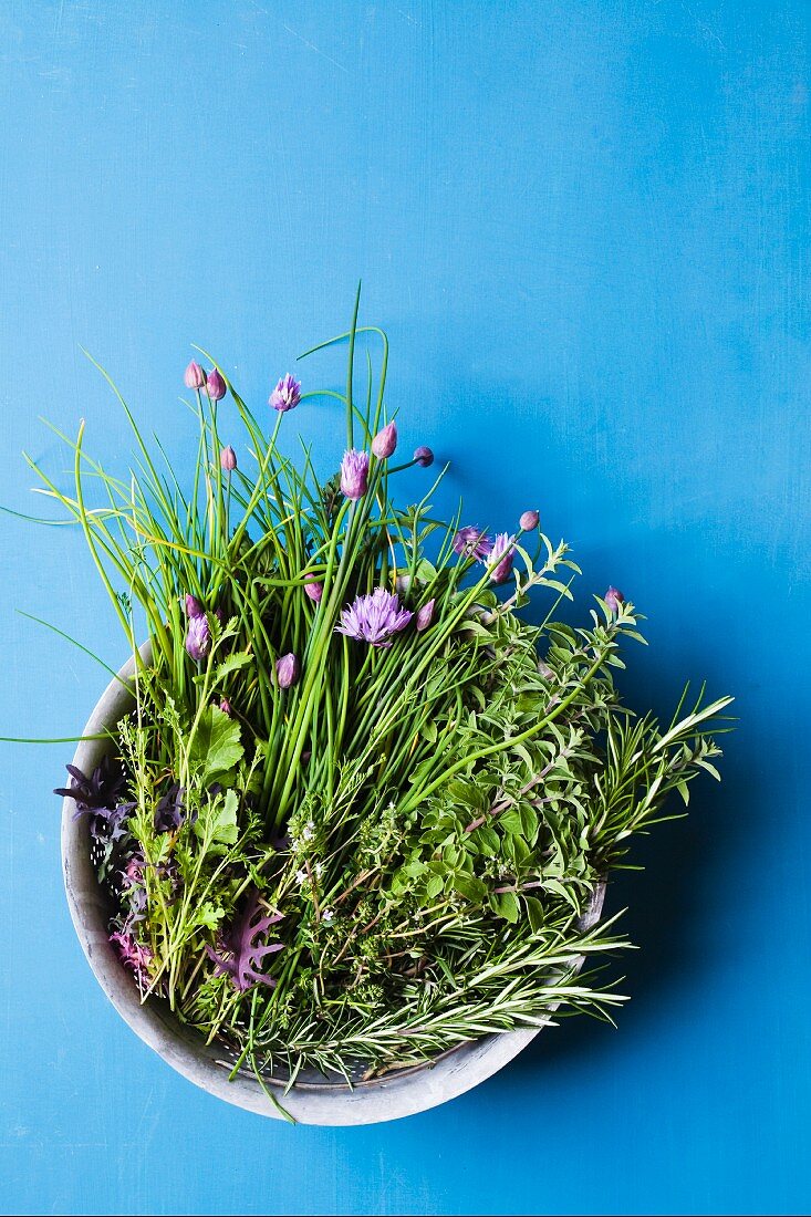 Variety of Fresh Herbs in a Bowl on a Blue Background