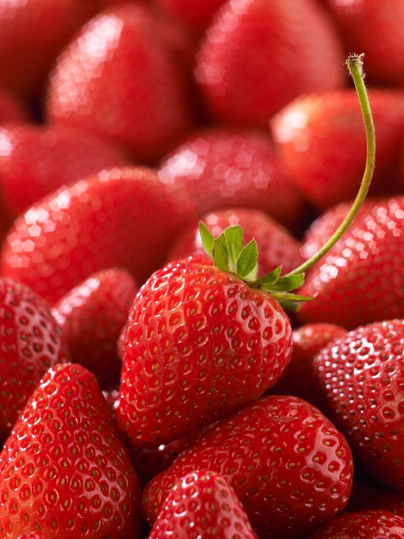 Fresh Strawberries Close Up; One with Stem