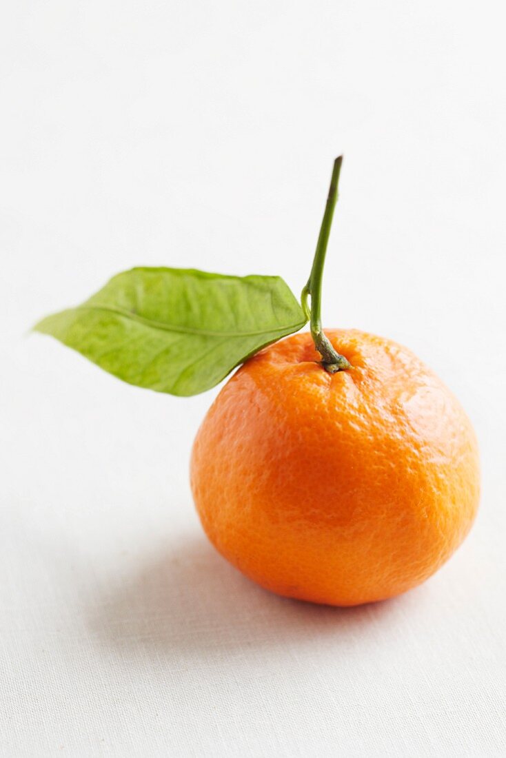 Eine Clementine mit Stiel und Blatt