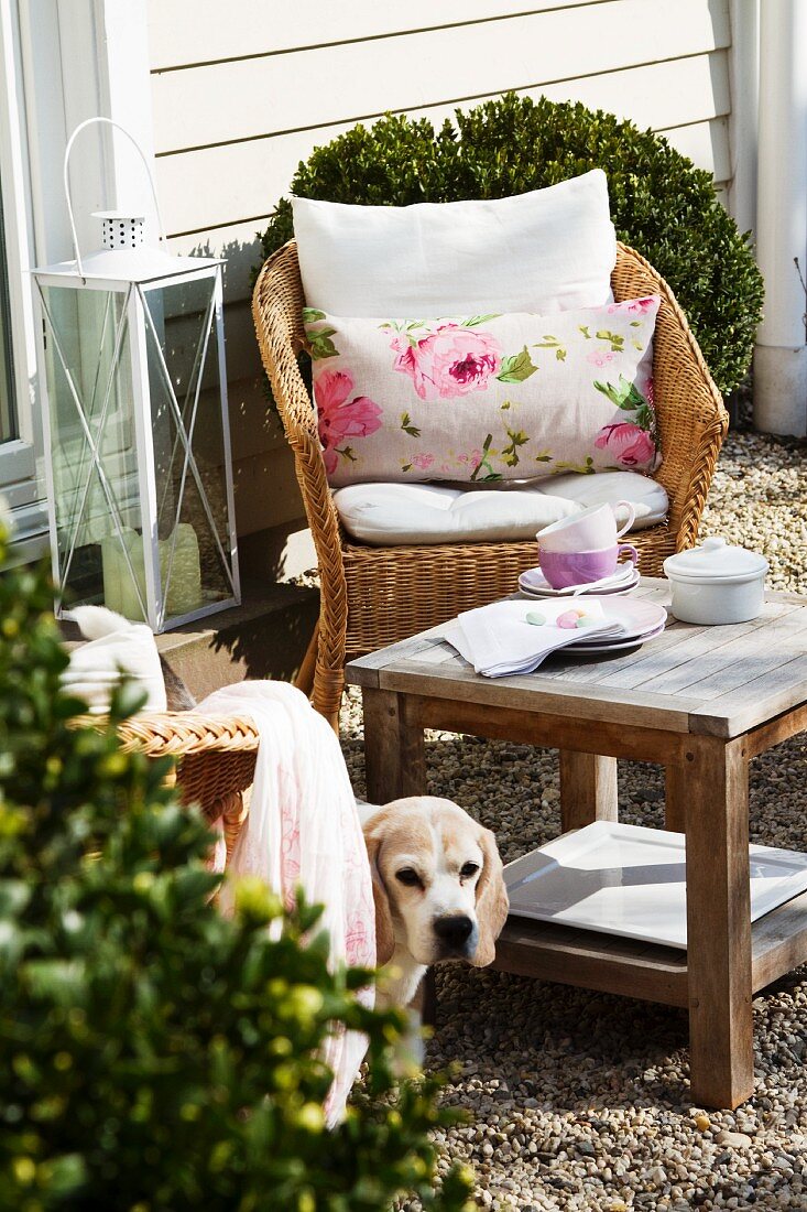 Tea break in garden - wicker chair with cushions and rustic side table in front of wood-clad house