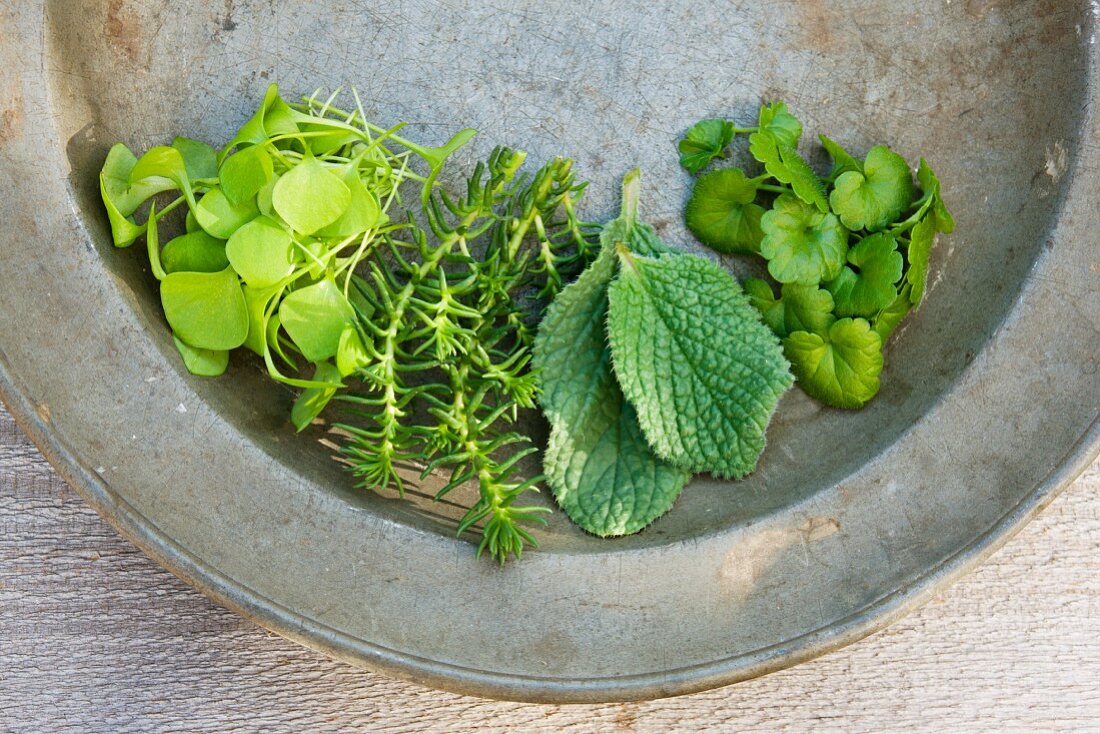 Fresh herbs on an old zinc plate