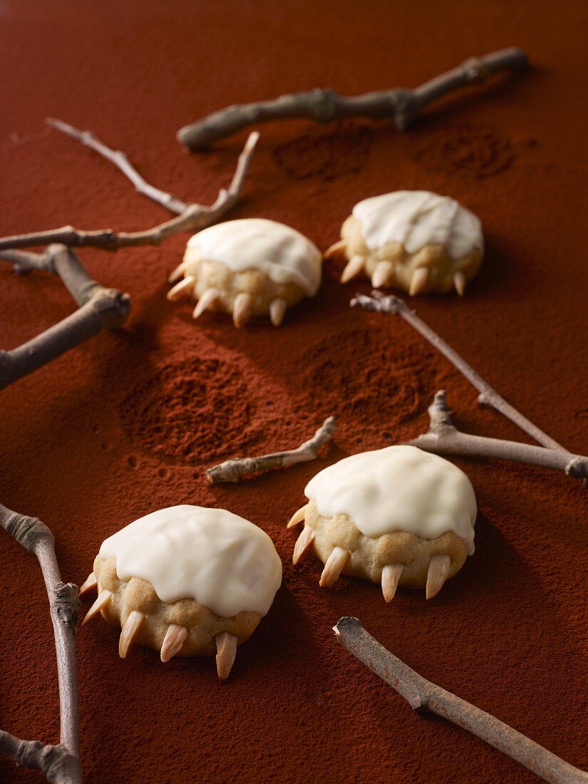 Bear paw-shaped biscuits on cocoa powder