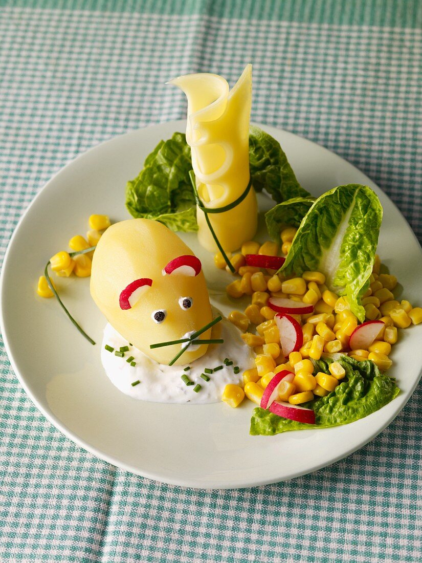 A potato mouse with herbal quark, cheese and salad