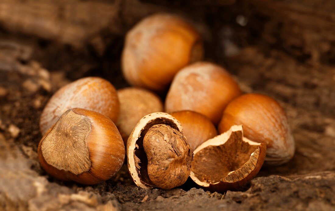 Hazelnuts