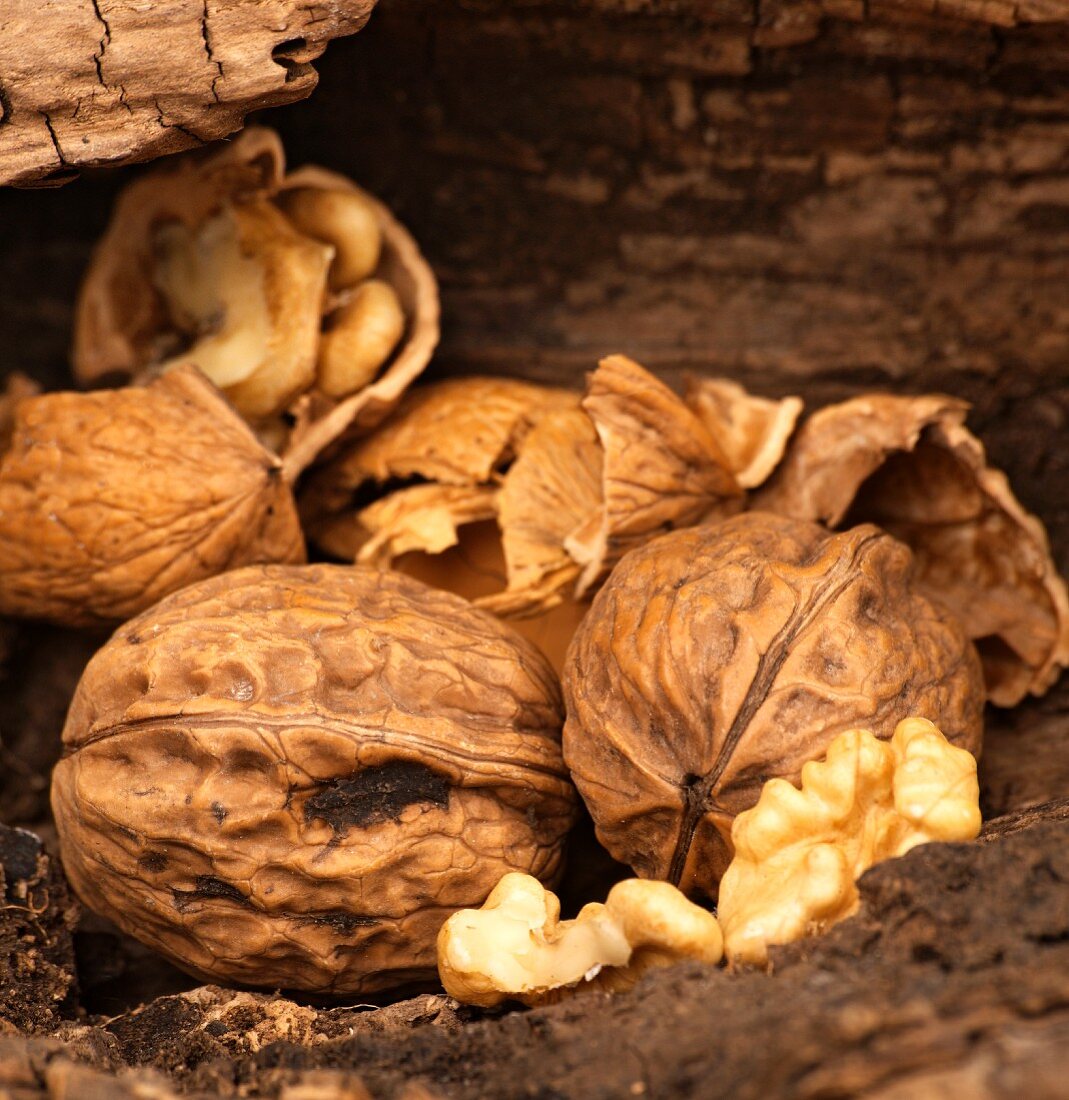 Walnuts and walnut seeds