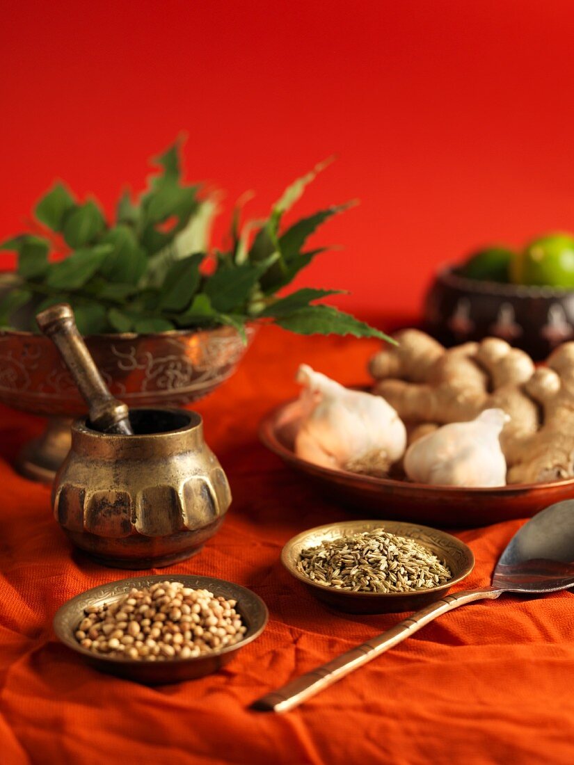 An arrangement of Indian herbs and spices