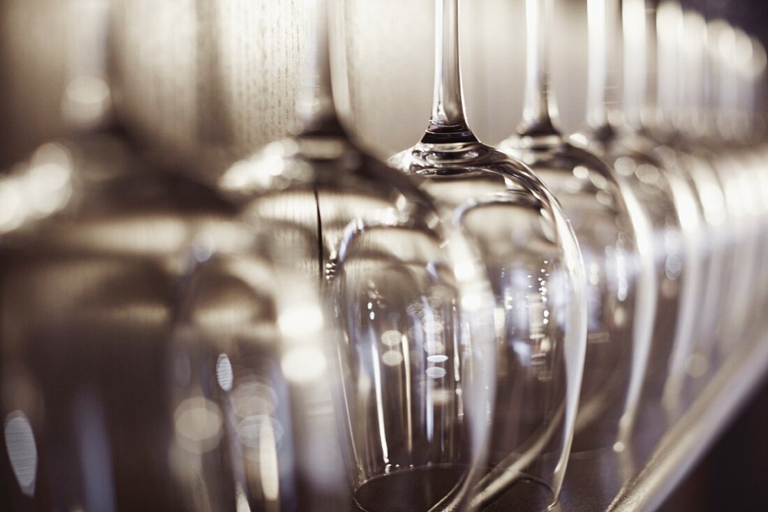 Rows of empty wine glasses (close-up)