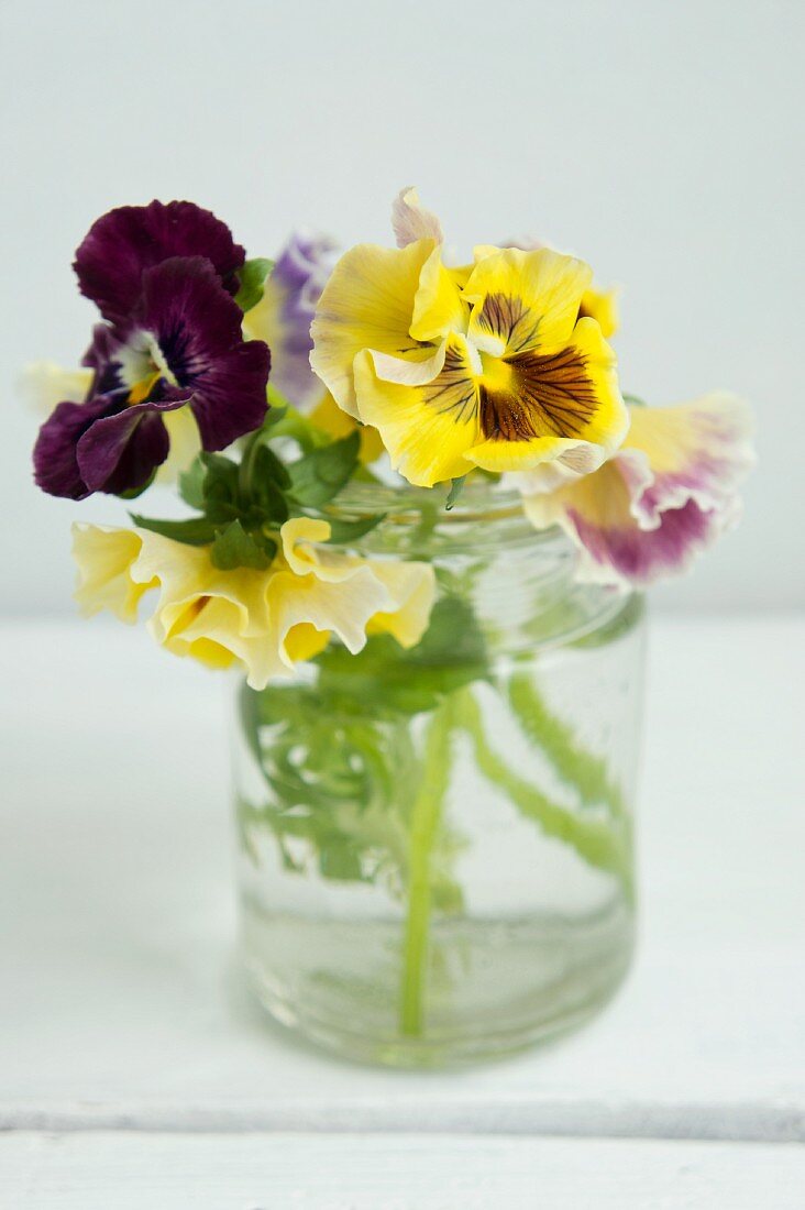 Bunte Stiefmütterchen in Wasserglas