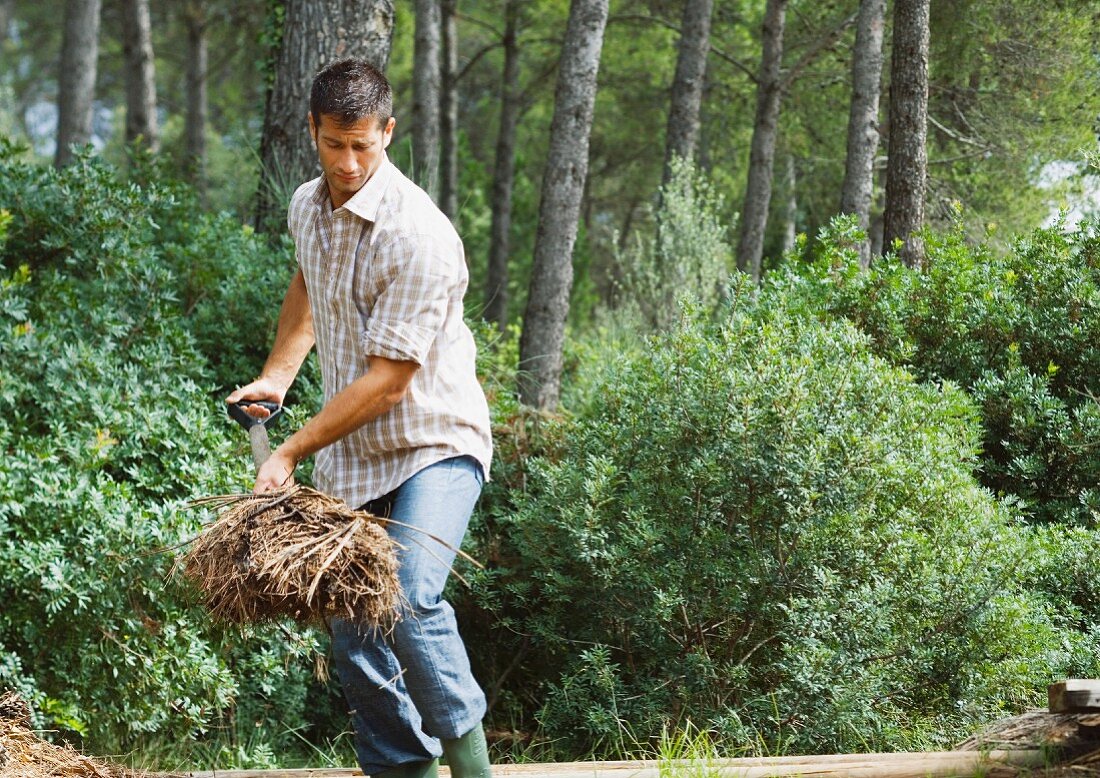 Man doing yard work