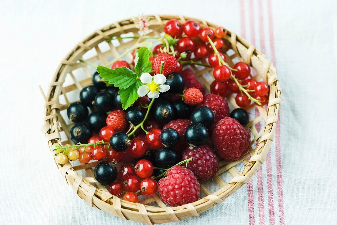 Variety of berries in wooden basket