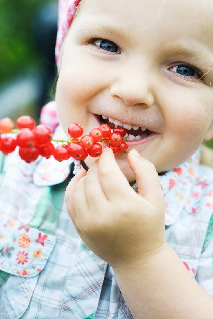 Little girl eating red currants off stem, smiling at camera