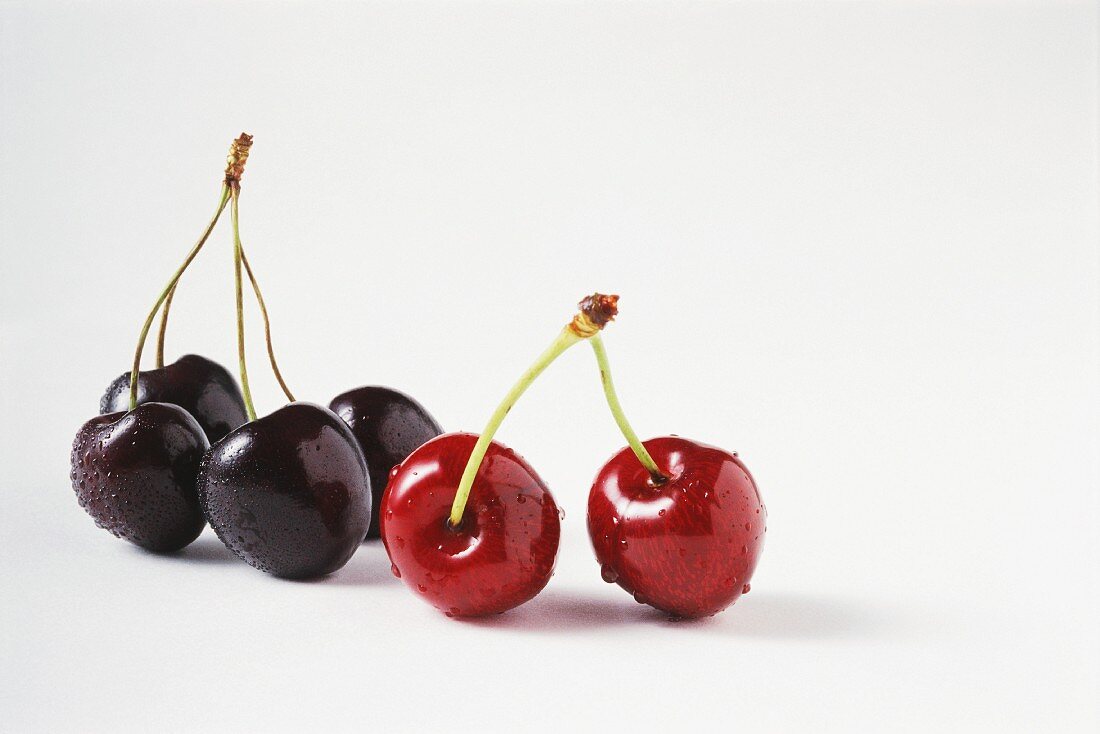 Schwarze und rote Kirschen mit Wassertropfen