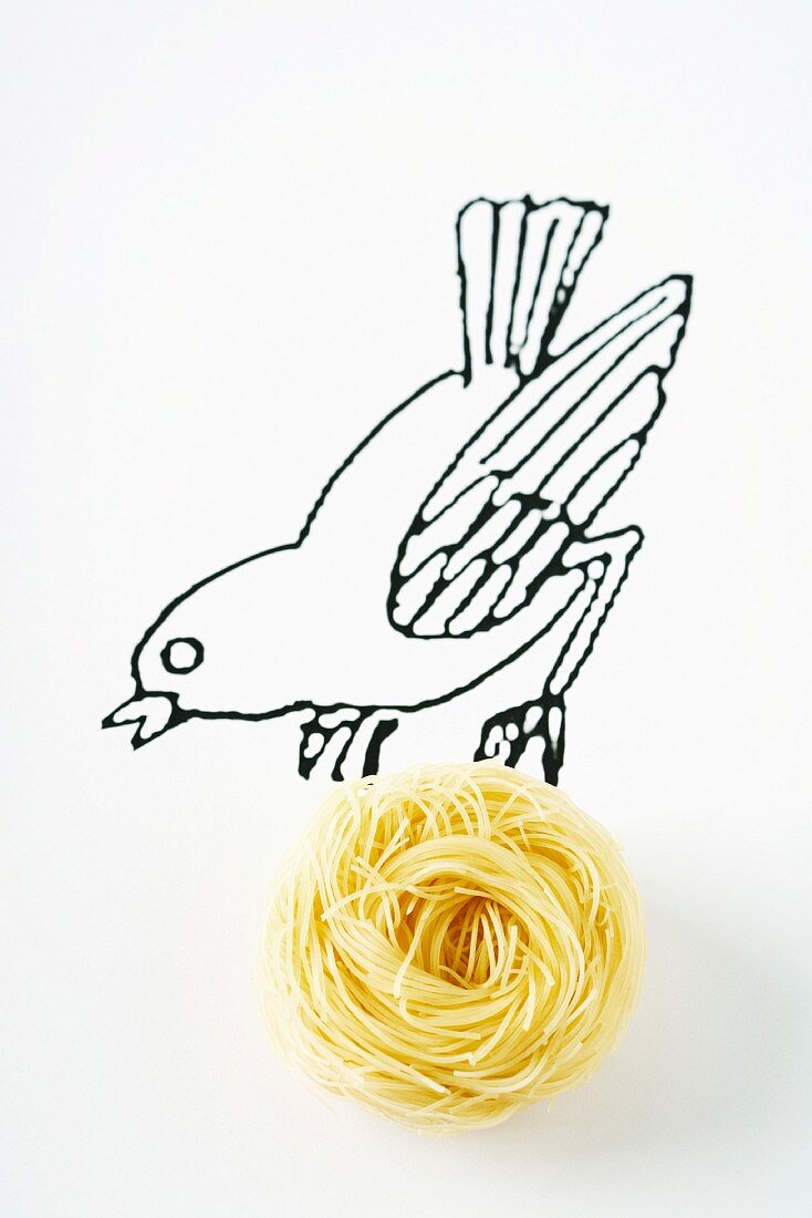 Drawing of bird carrying real nest of pasta