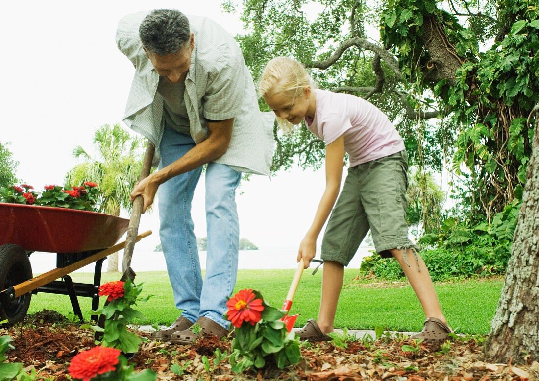 Man and girl planting flowers in yard
