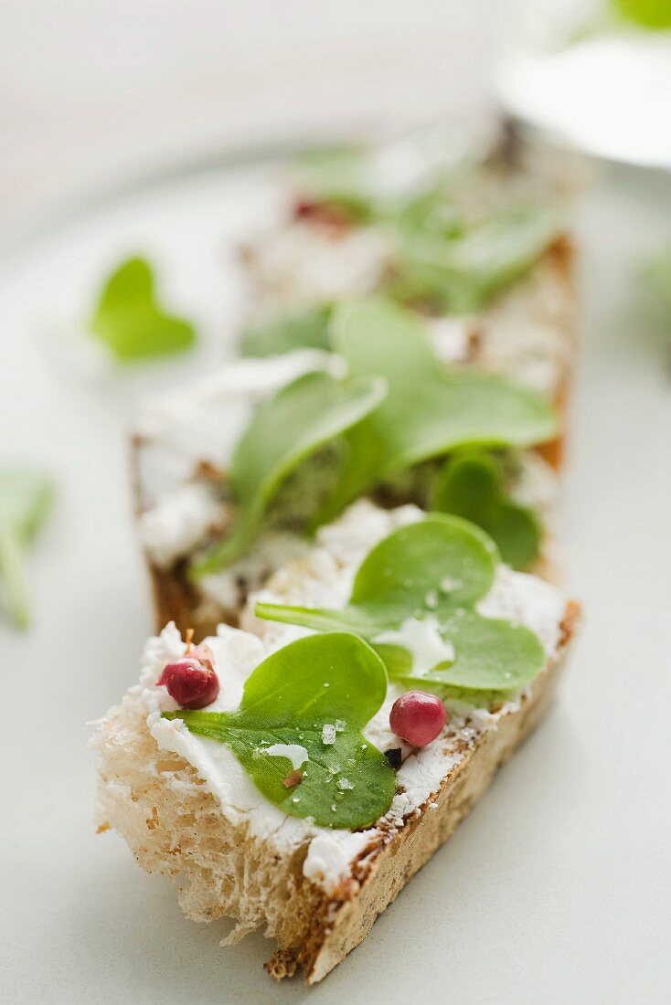 Toast topped with goat's cheese and radishes